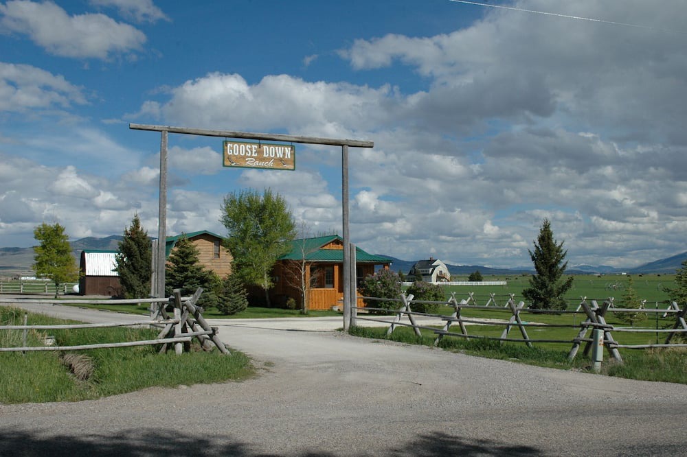 Photo of Others in Dillon