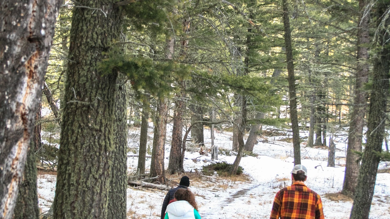 Photo of Outdoor in Lewistown