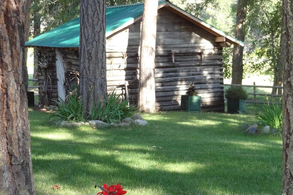 Photo of Outdoor in Drummond