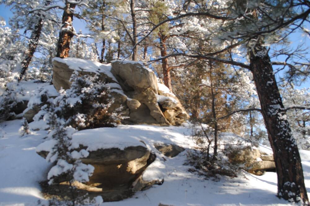 Photo of Outdoor in Roundup