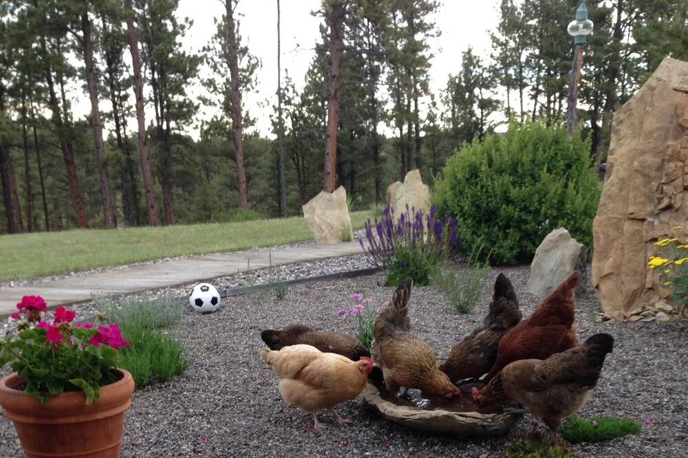 Photo of Outdoor in Roundup