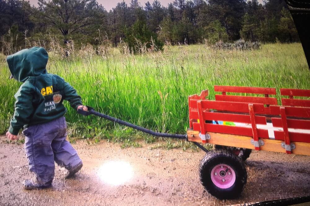 Photo of Others in Roundup