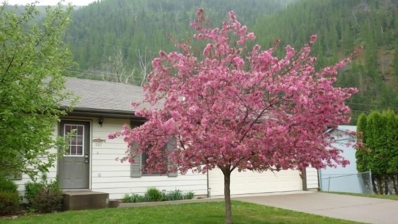 Photo of Outdoor in Heart of Missoula