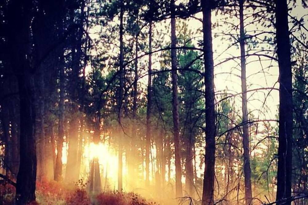 Photo of Outdoor in Riverfront