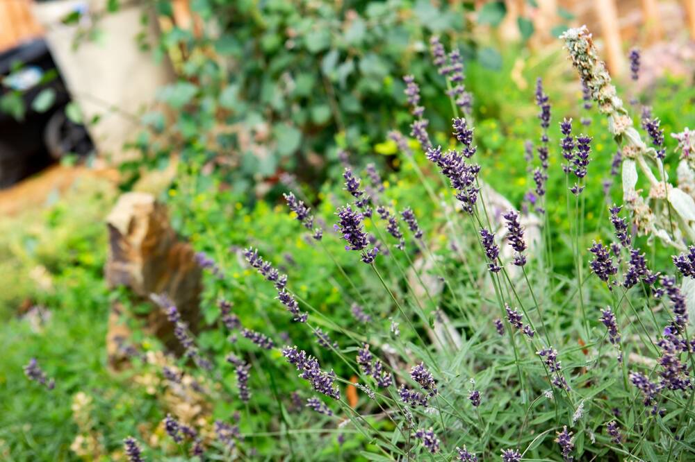 Photo of Others in Riverfront