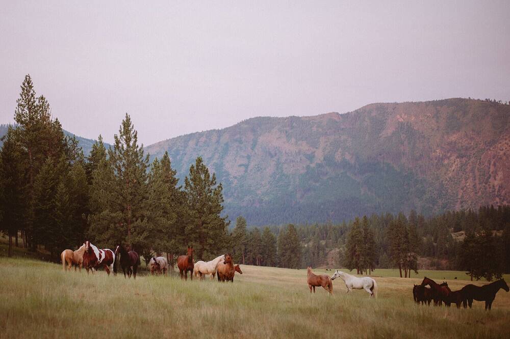 Photo of Outdoor in Alberton