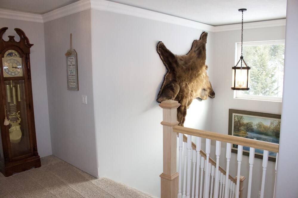 Photo of Others in Missoula