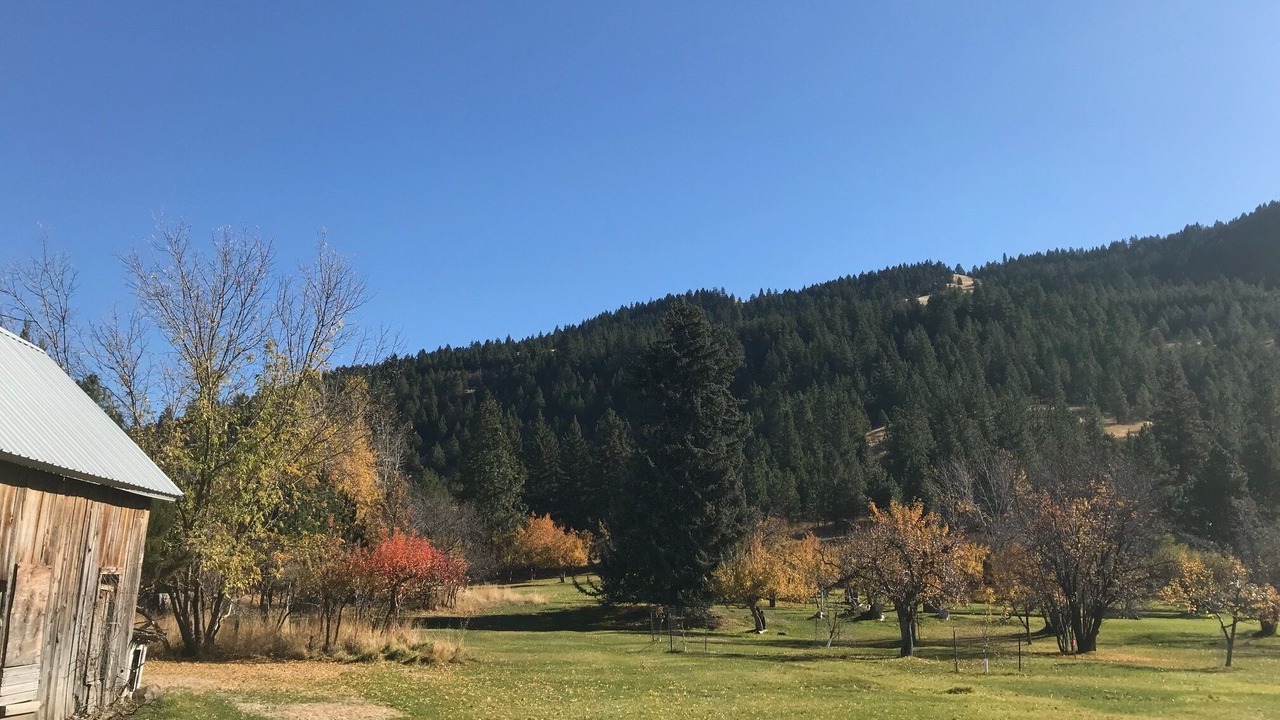 Photo of Outdoor in Upper Rattlesnake