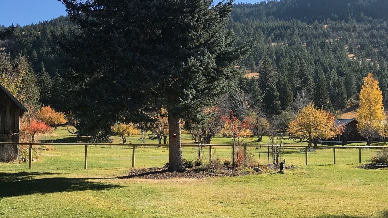 Photo of Outdoor in Upper Rattlesnake