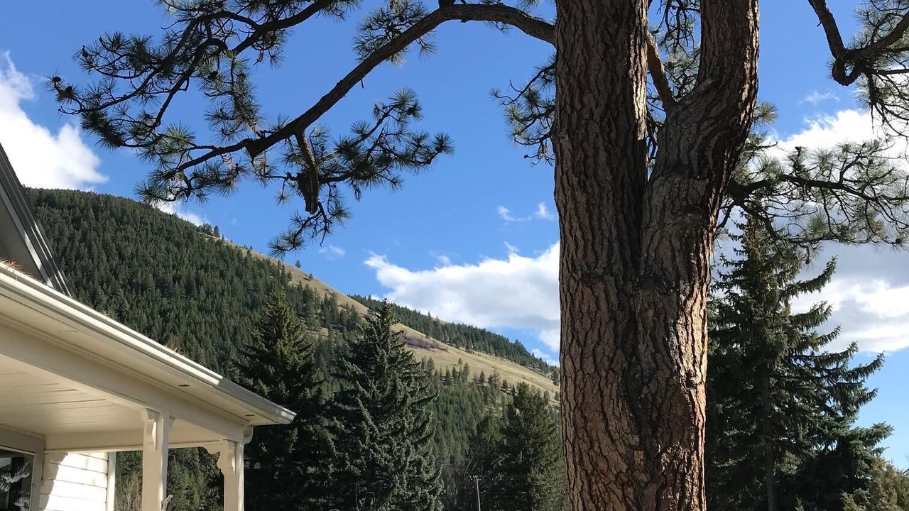 Photo of Outdoor in Upper Rattlesnake