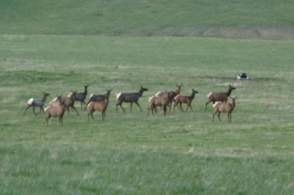 Photo of Others in Powell County