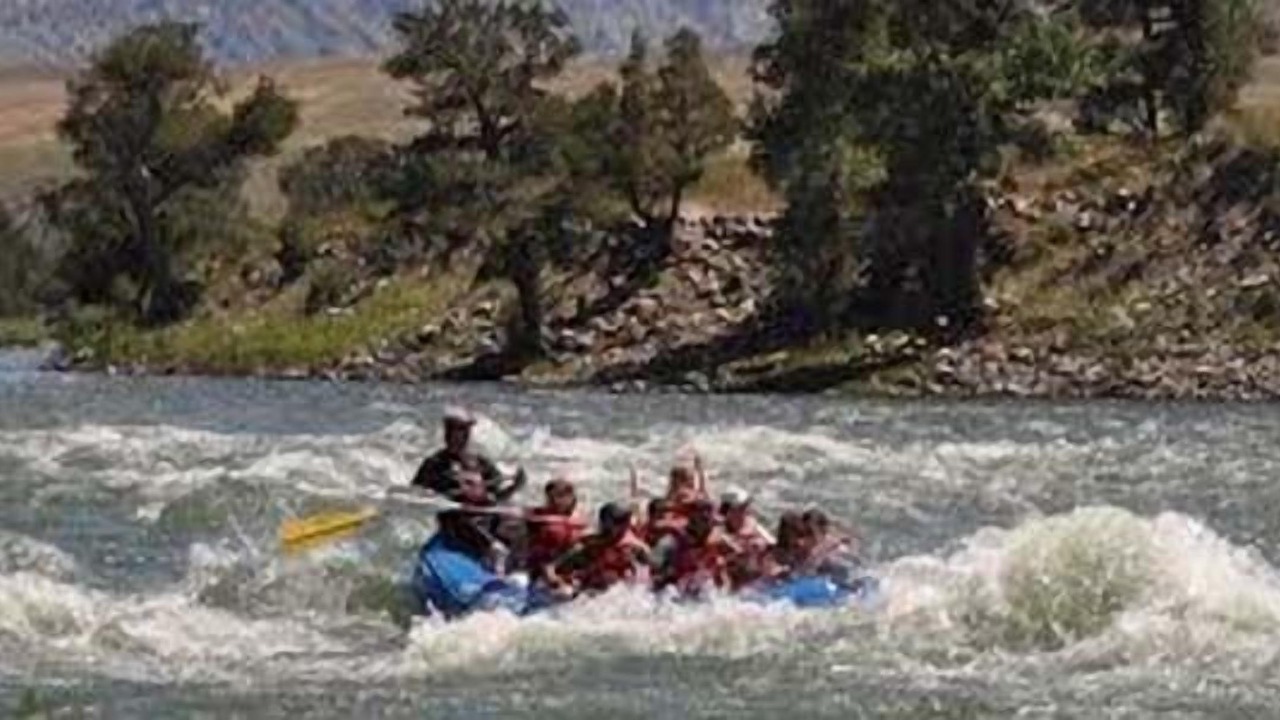 Photo of Others in Emigrant