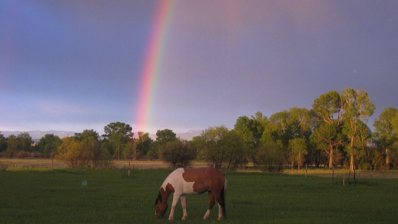 Photo of Others in Three Forks