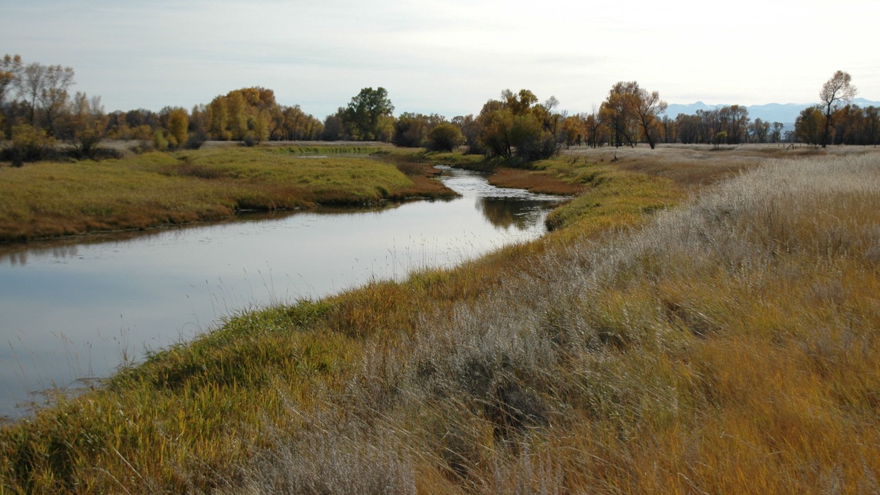 Photo of Others in Three Forks
