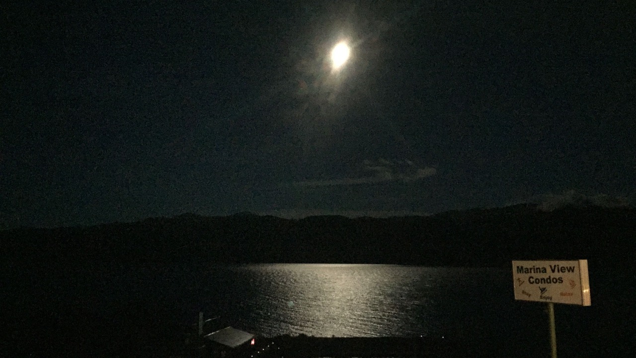 Photo of Others in West Yellowstone
