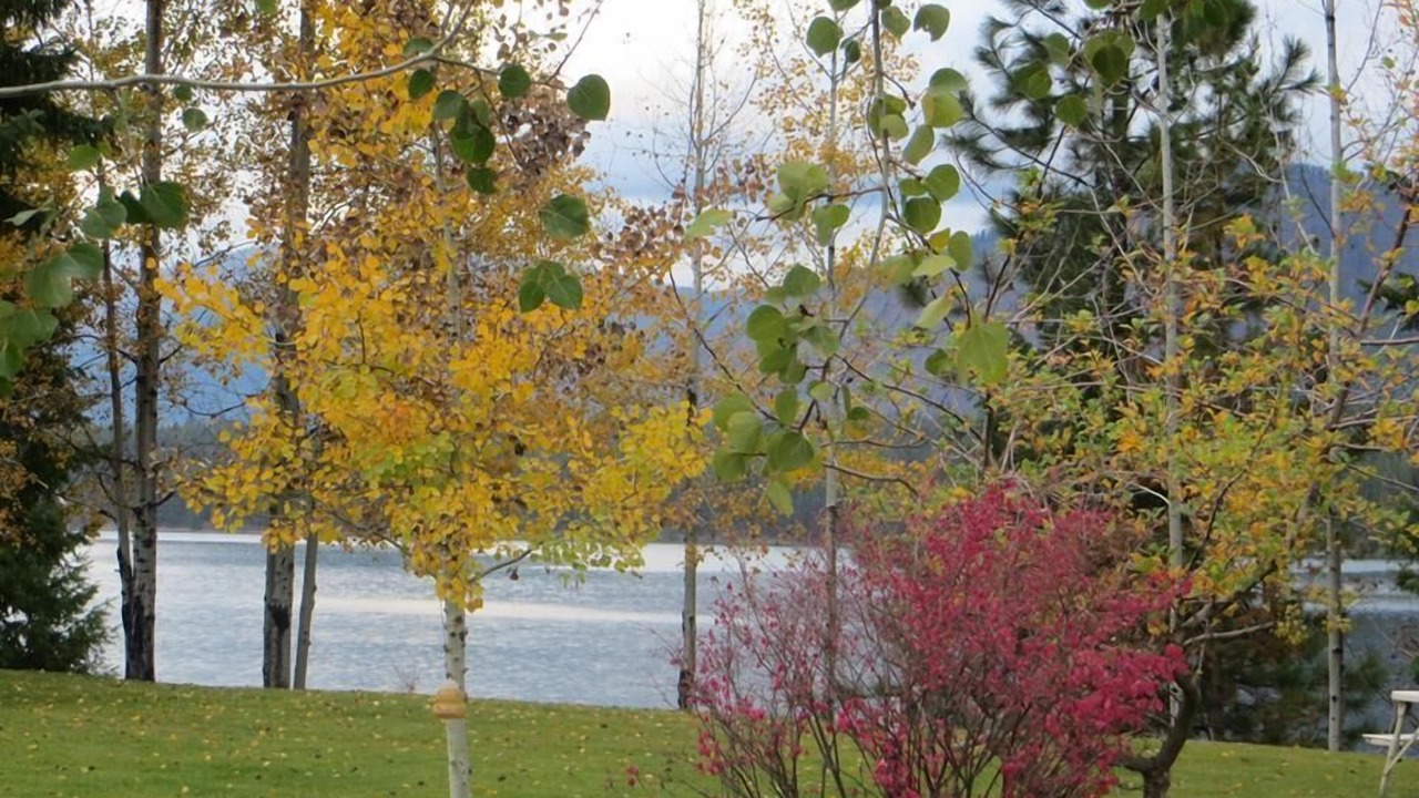 Photo of Others in Trout Creek