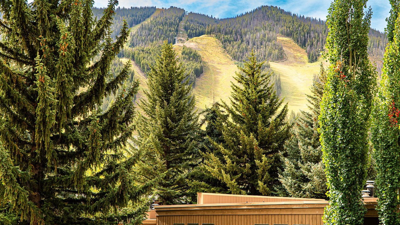 Photo of Patio Balcony in Warm Springs