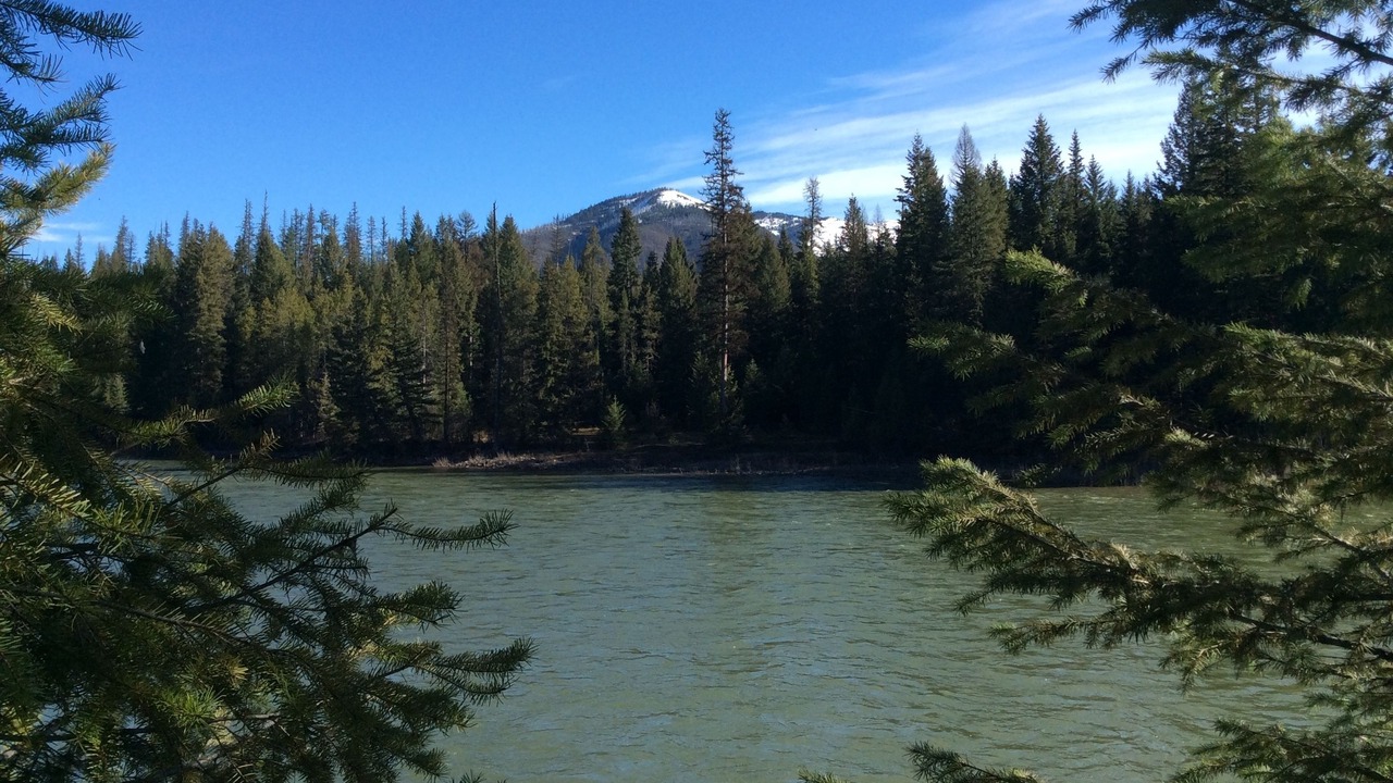 Photo of Outdoor in Columbia Falls