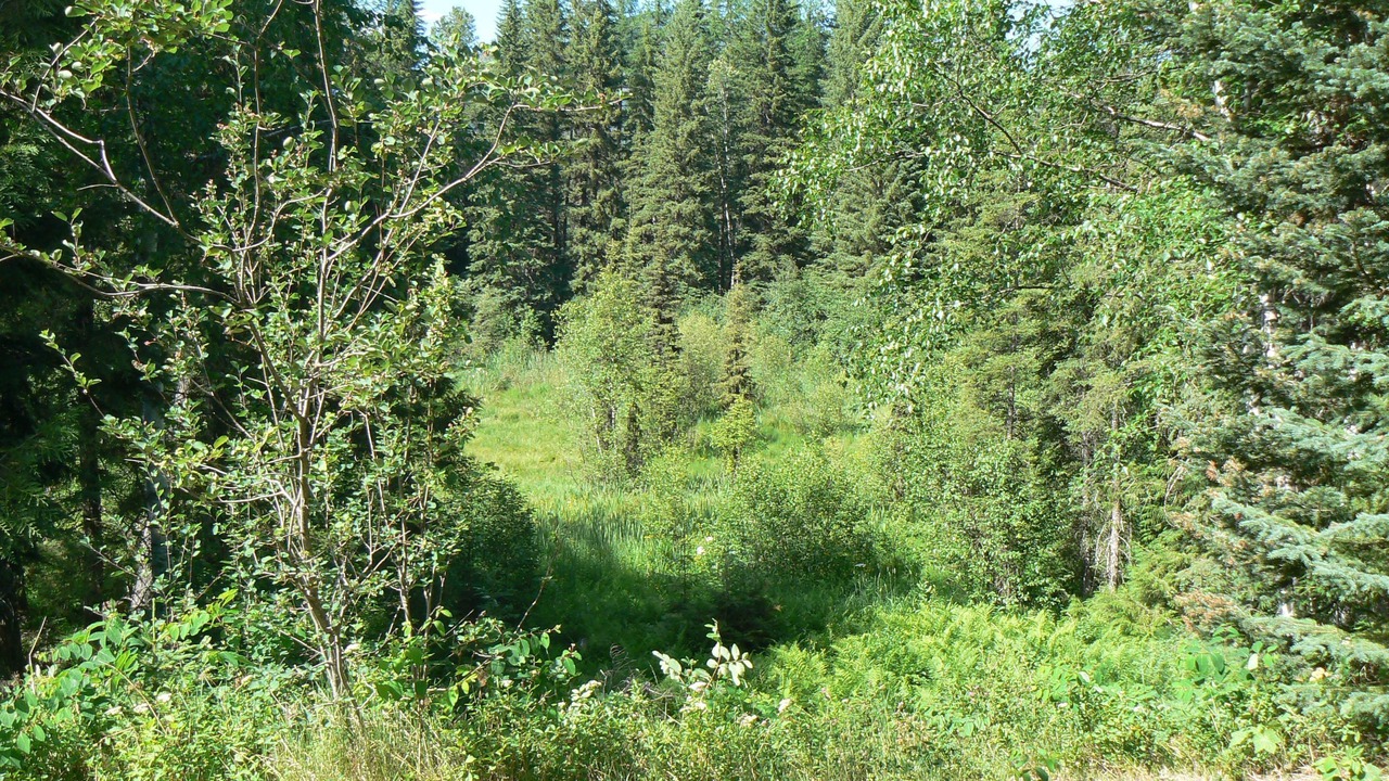 Photo of Others in Columbia Falls
