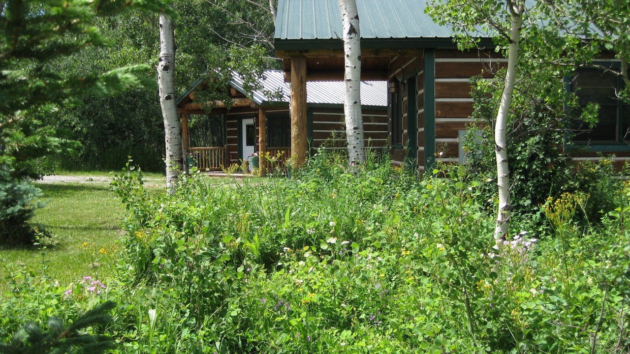 Photo of Outdoor in East Glacier Park Village