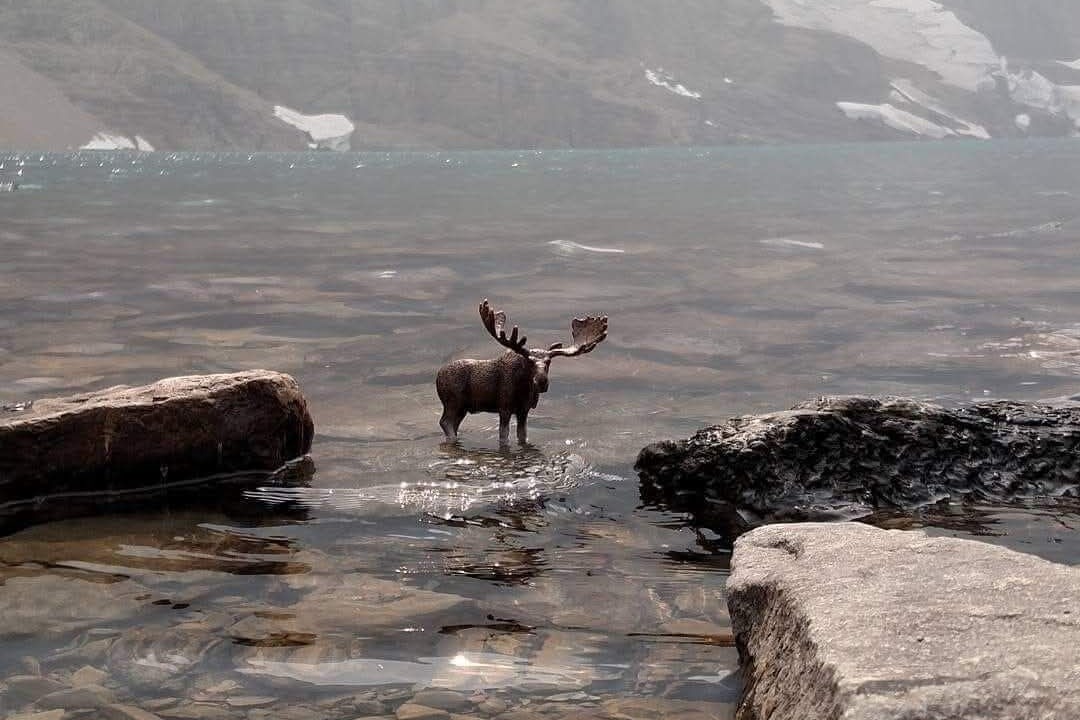 Photo of Outdoor in East Glacier Park Village