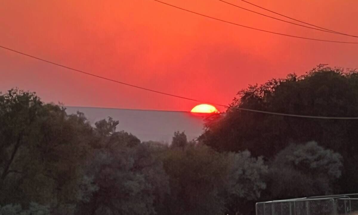Photo of Outdoor in Wilson