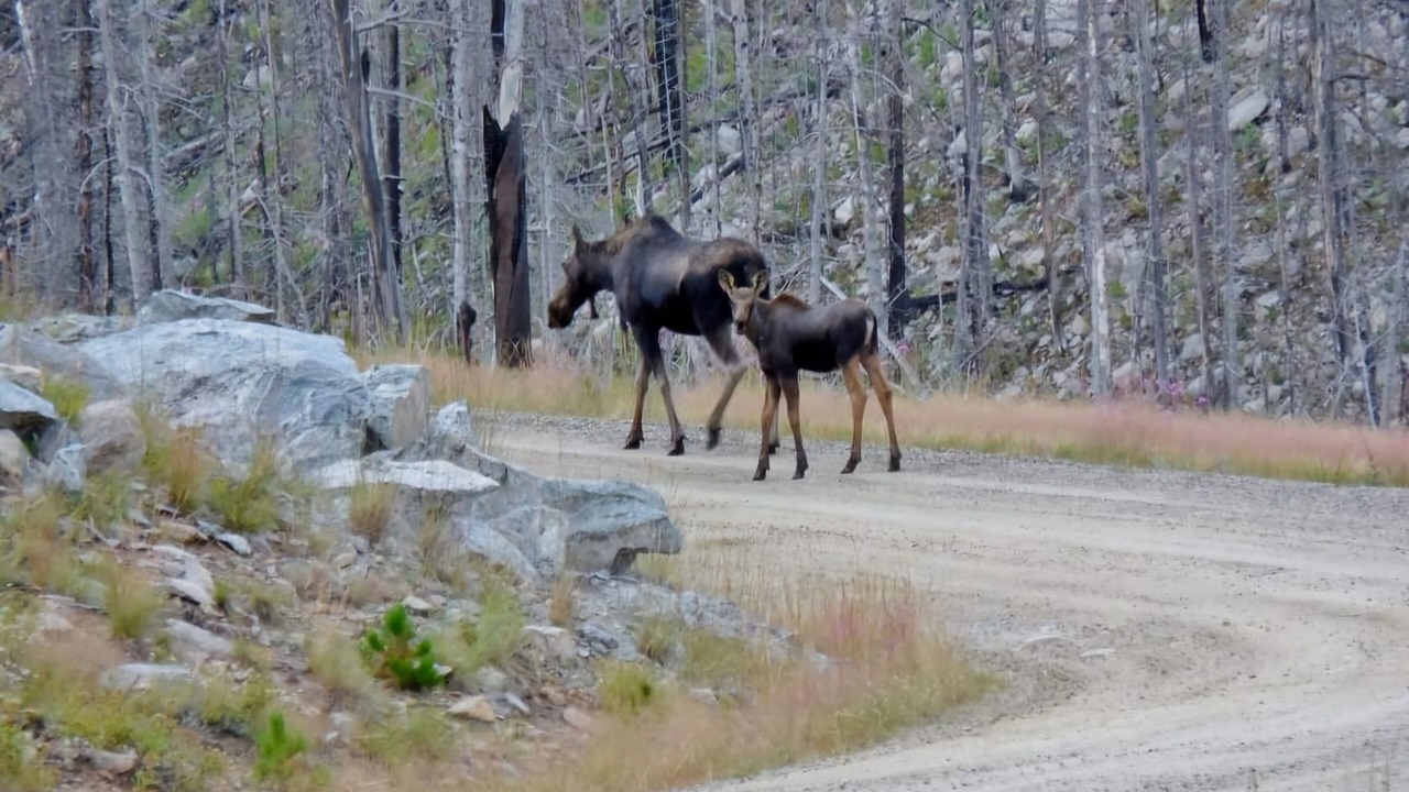 Photo of Outdoor in Absarokee