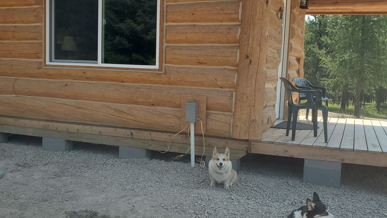 Photo of Outdoor in Trout Creek