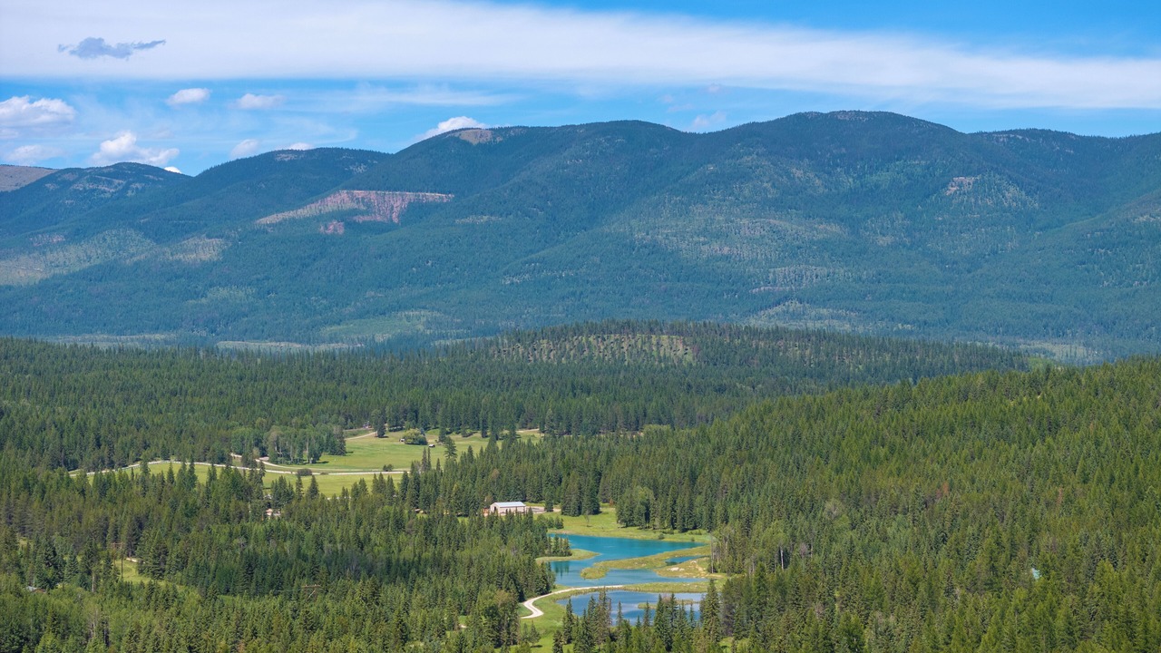 Photo of Outdoor in Whitefish