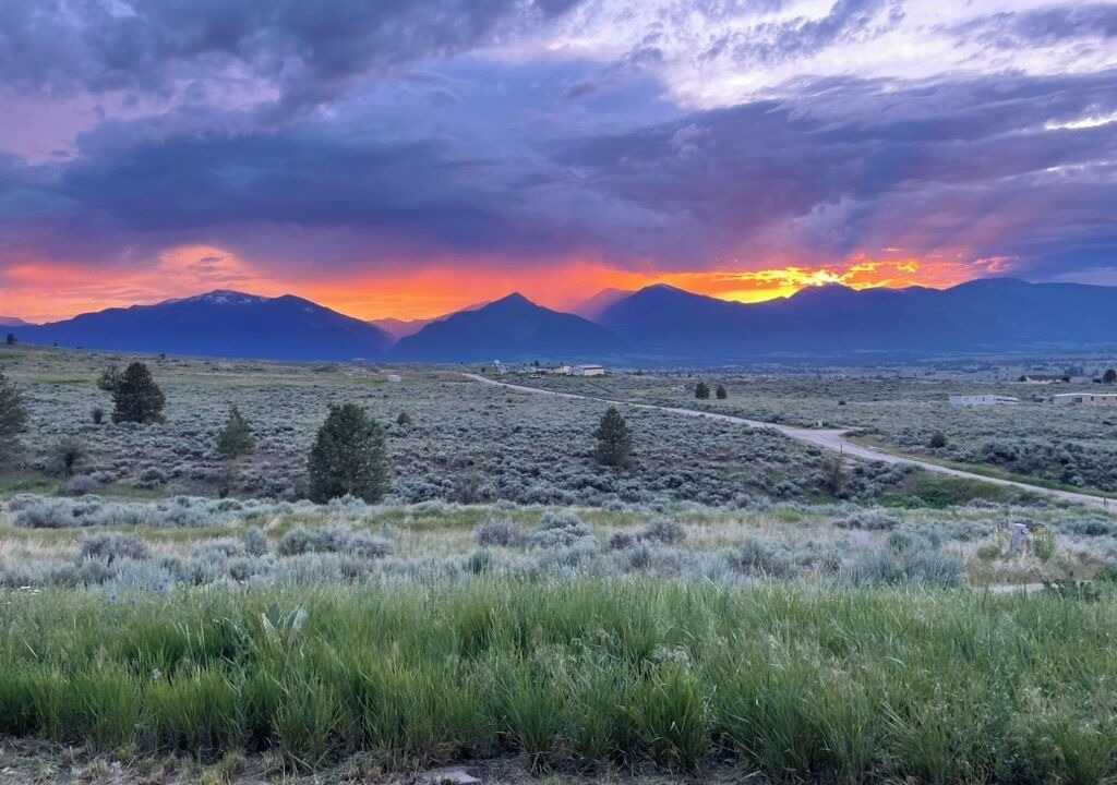 Photo of Others in Stevensville