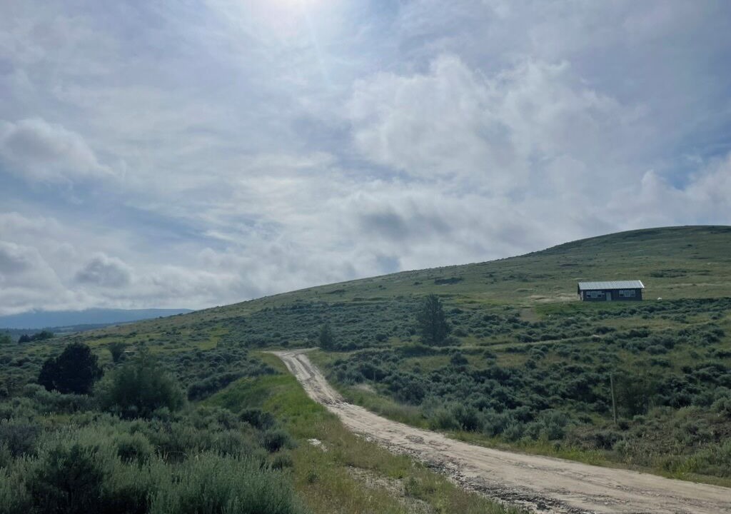 Photo of Others in Stevensville