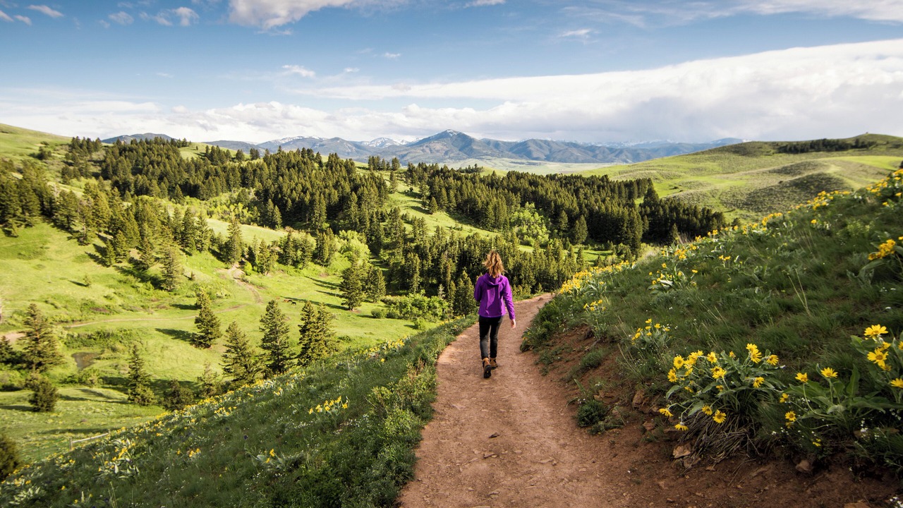 Photo of Others in Bozeman