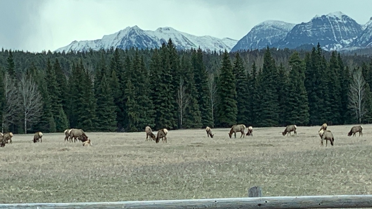 Photo of Outdoor in Polebridge
