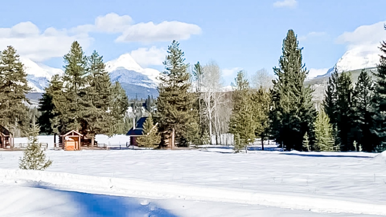 Photo of Others in Polebridge