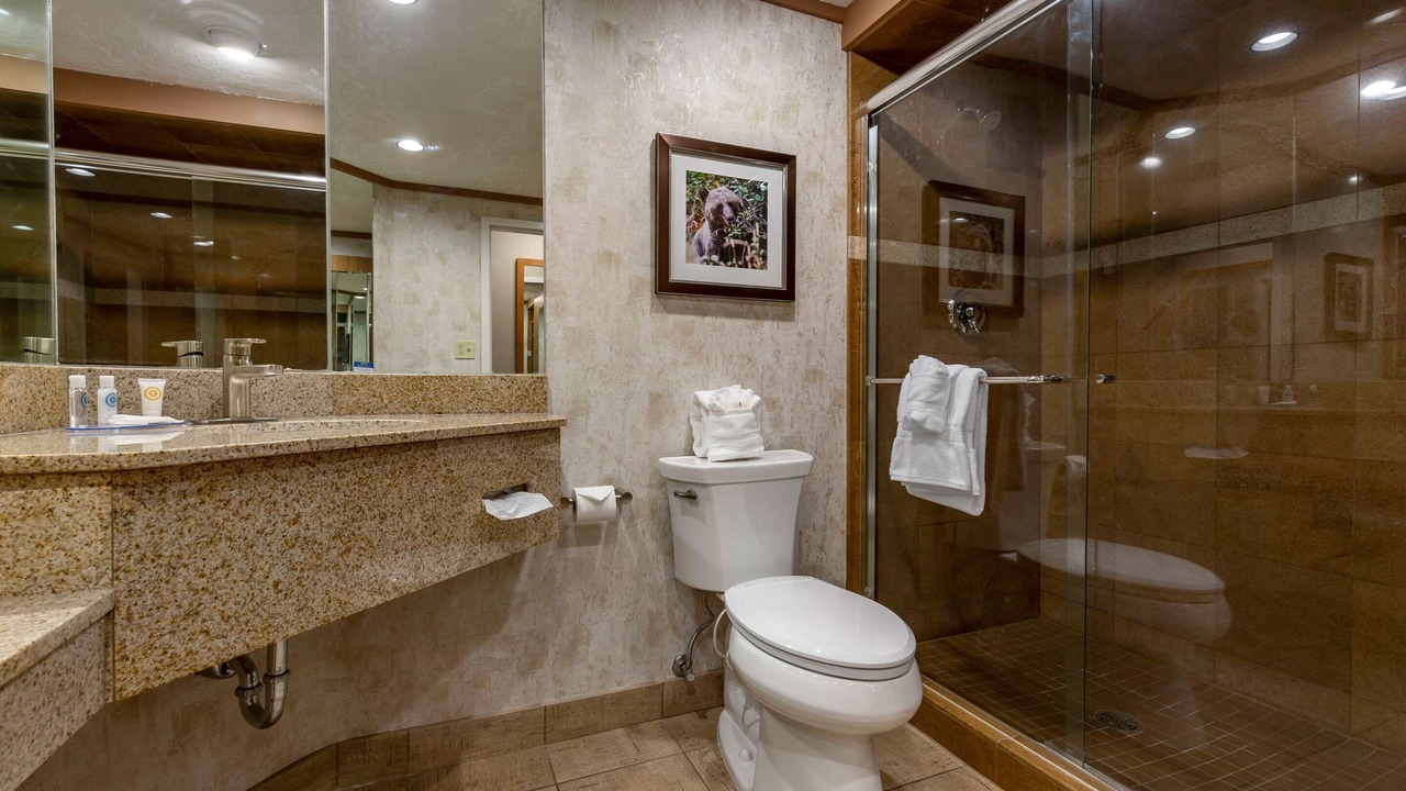 Photo of Bathroom in Grant Creek