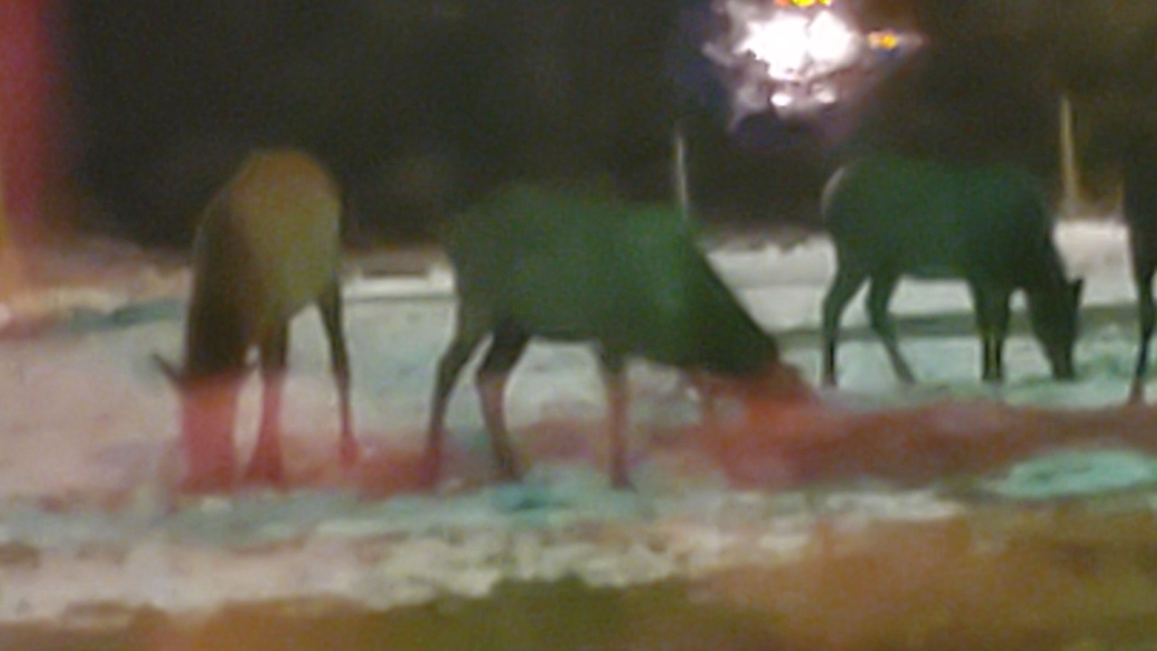 Photo of Outdoor in St. Regis