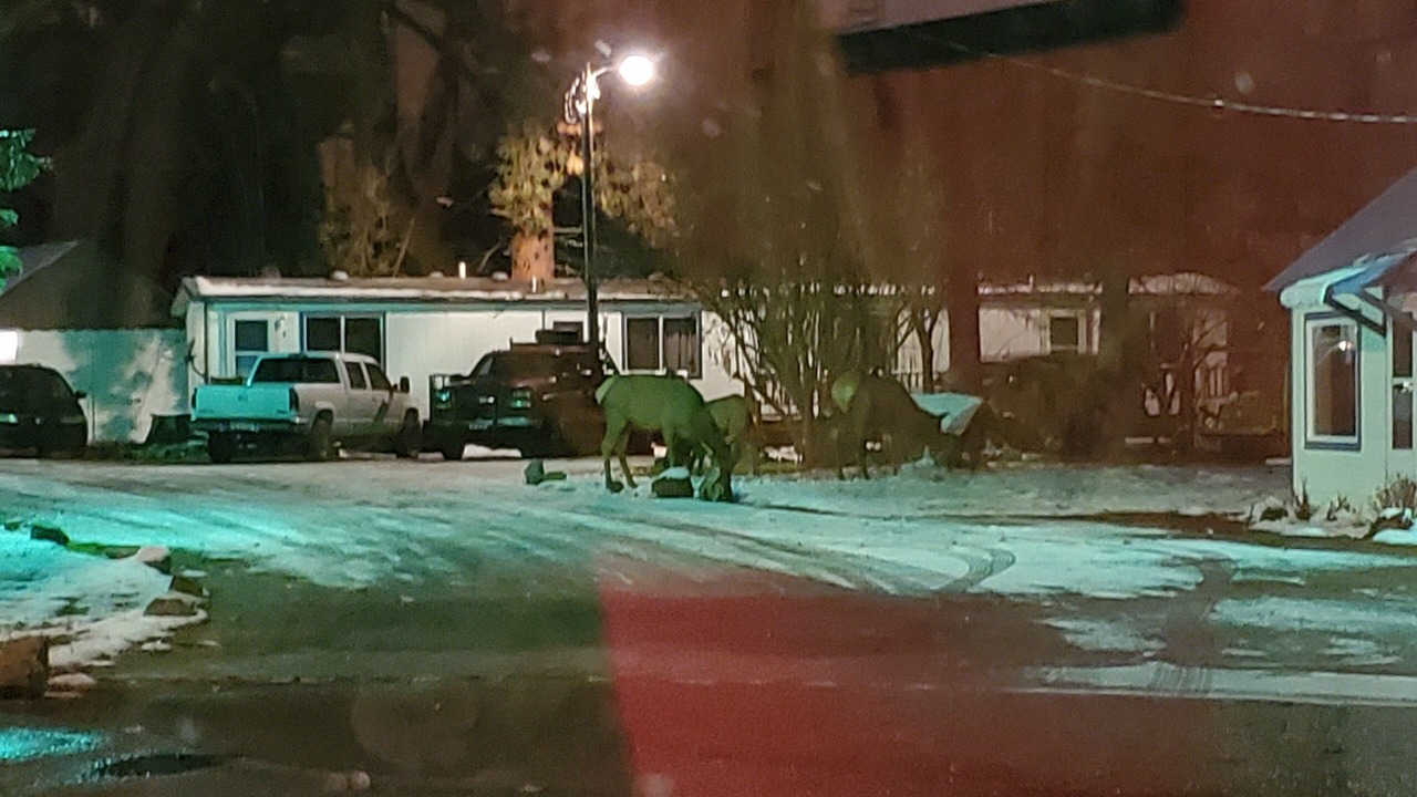 Photo of Outdoor in St. Regis