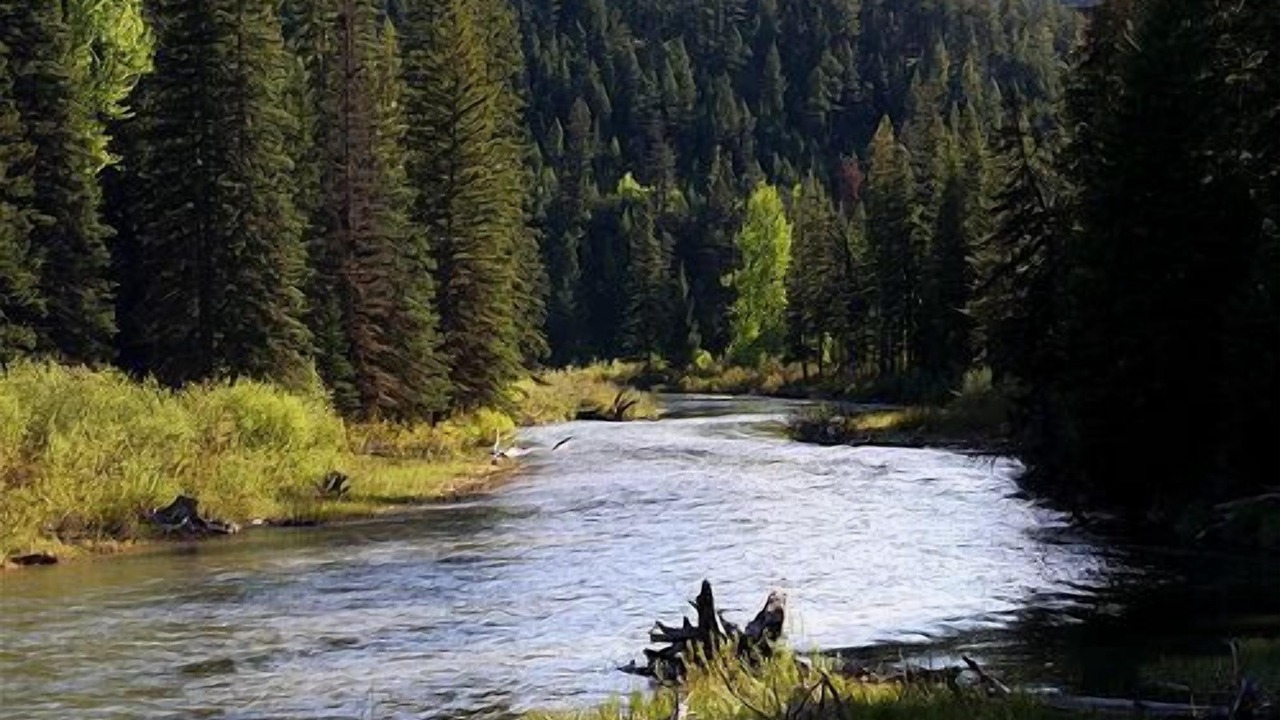 Photo of Outdoor in Missoula
