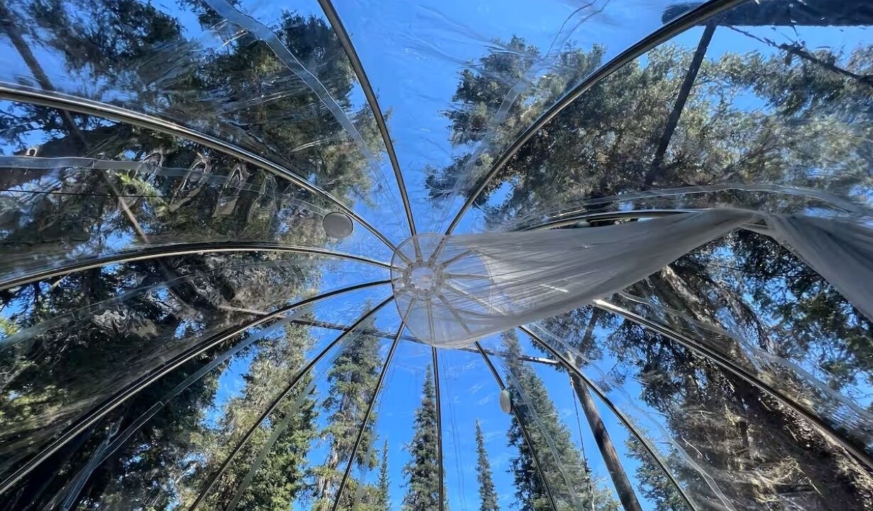 Photo of Others in West Glacier