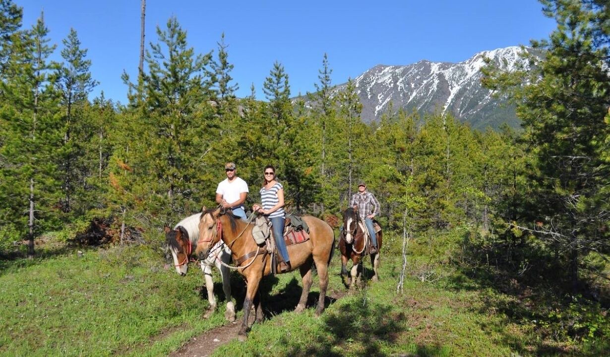 Photo of Others in West Glacier