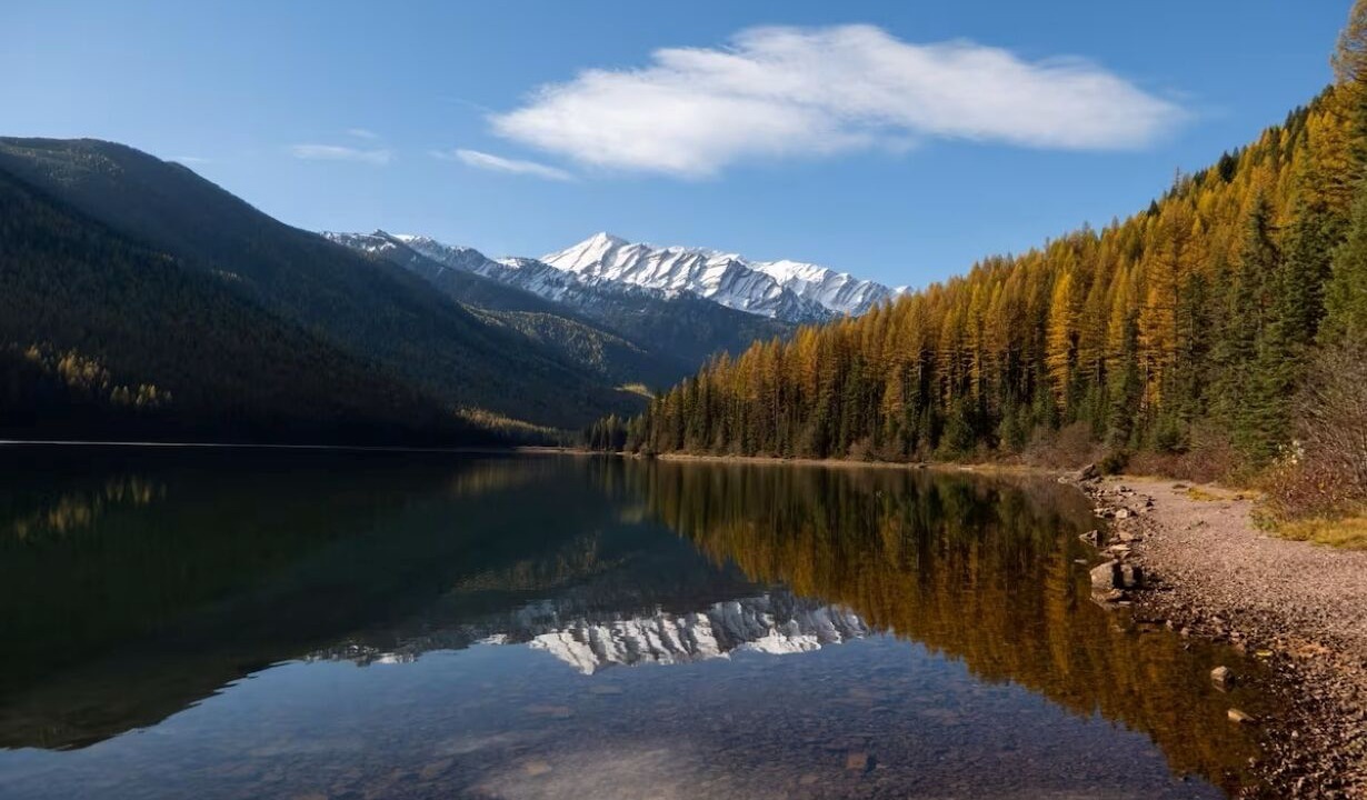 Photo of Others in West Glacier