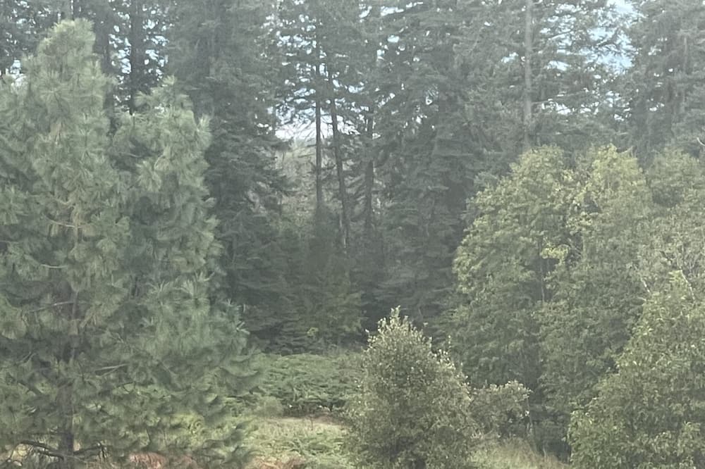 Photo of Others in Ronan