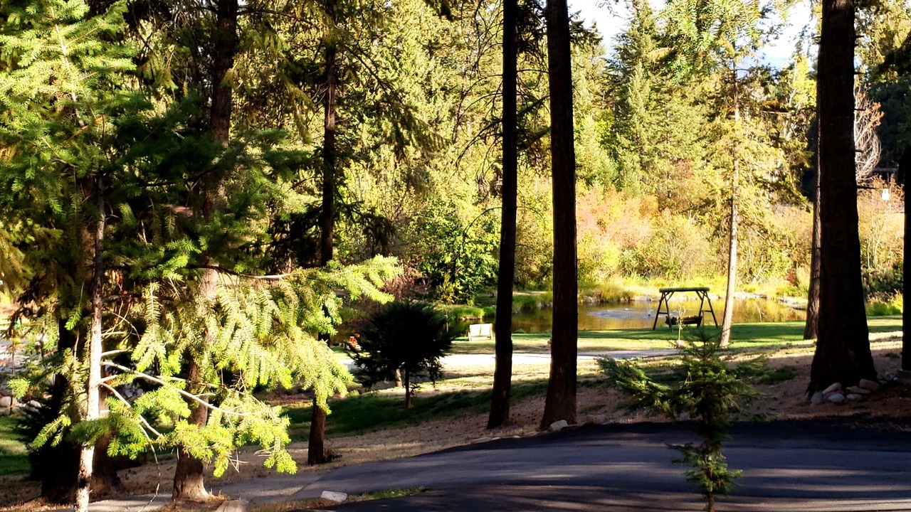 Photo of Outdoor in Thompson Falls