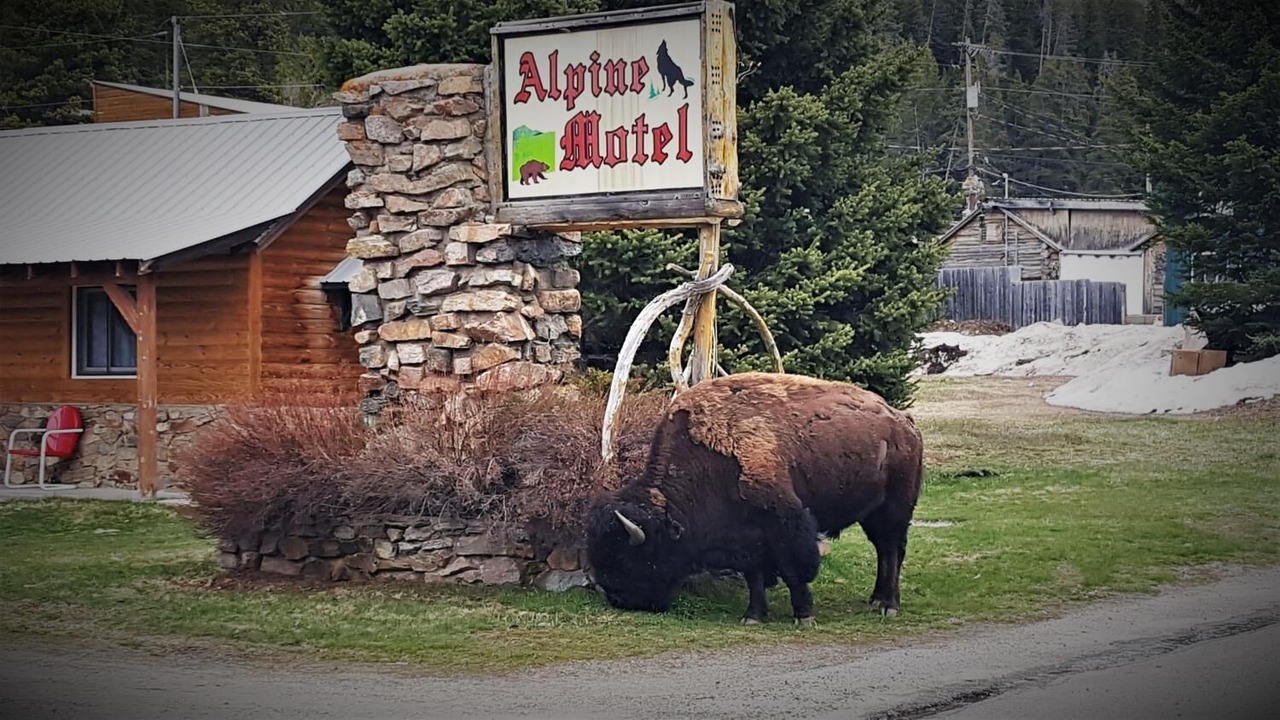 Photo of Outdoor in Cooke City-Silver Gate