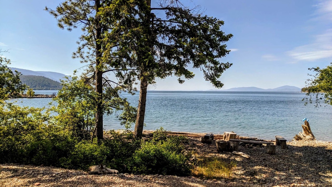 Photo of Others in Woods Bay