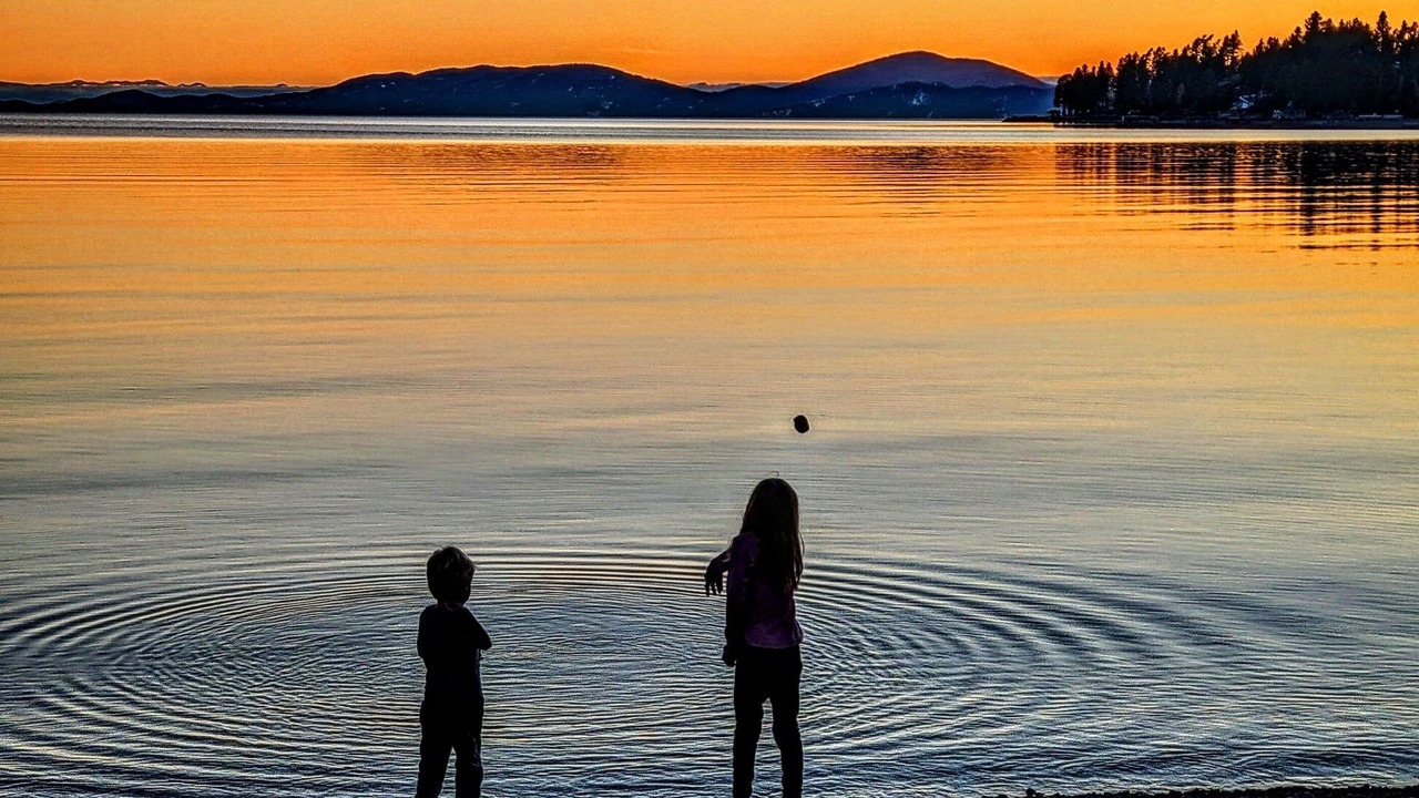 Photo of Others in Woods Bay