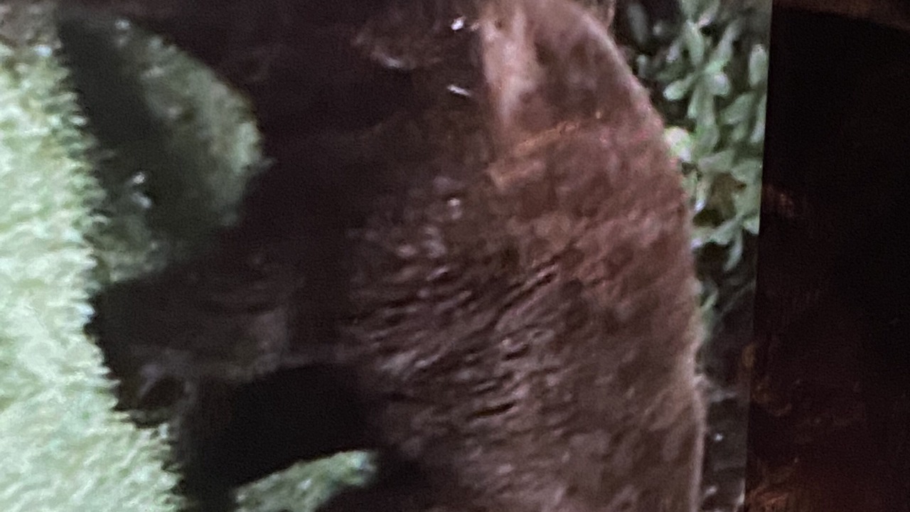Photo of Others in Thompson Falls