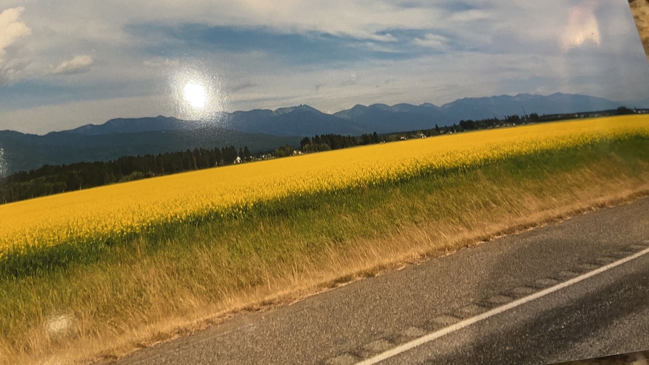 Photo of Others in Thompson Falls
