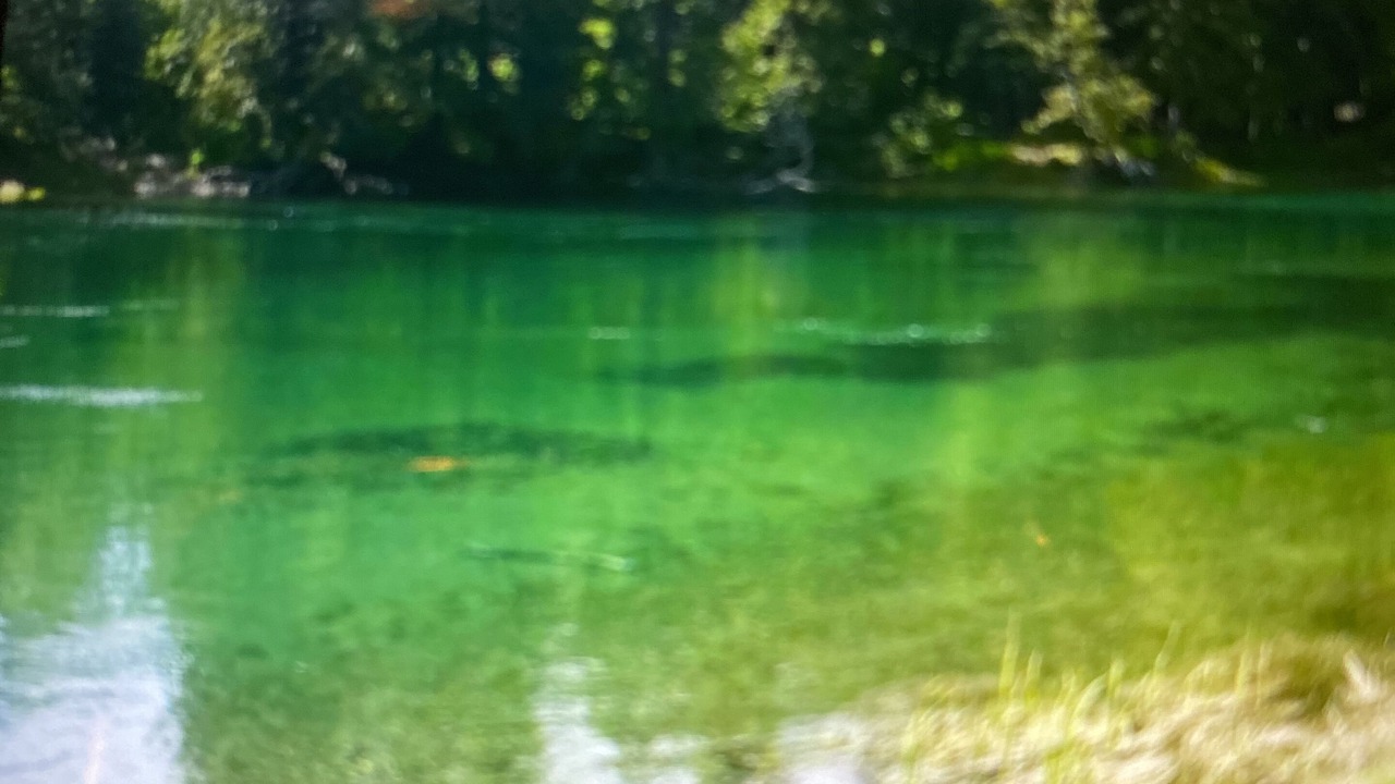 Photo of Others in Thompson Falls