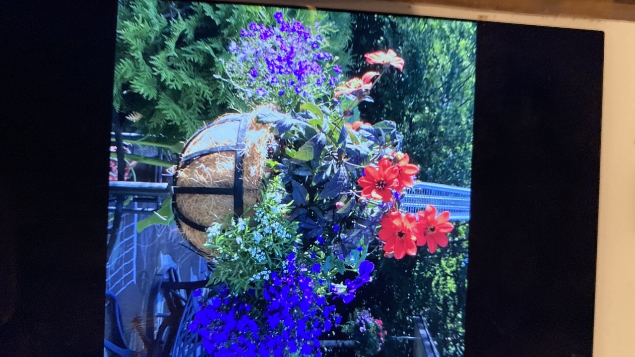 Photo of Others in Thompson Falls